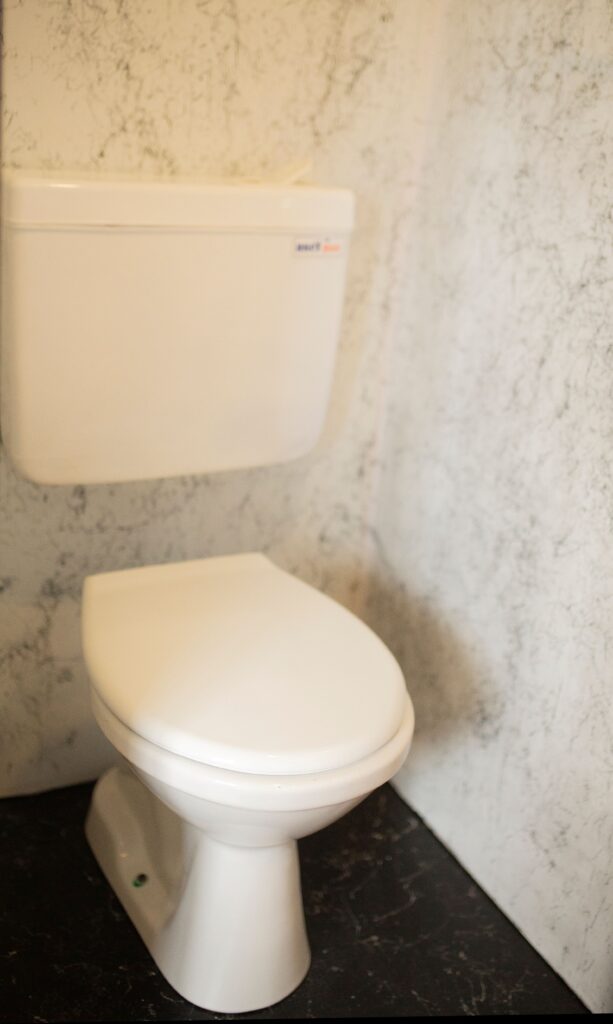 Preventing Bathroom Mould: Effective Cleaning and Ventilation Tips