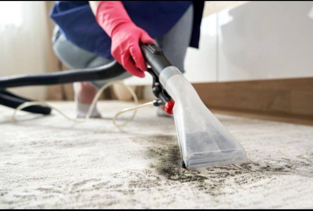Rug Cleaning
