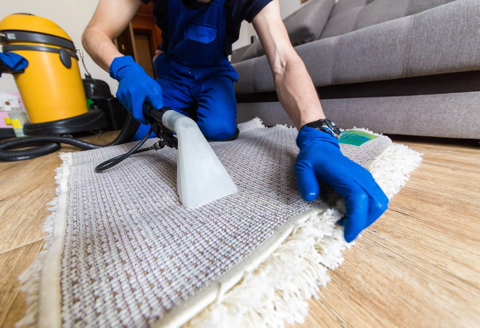 Gentle Cleaning for Delicate Rug Fibers